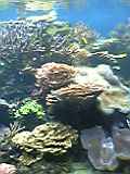 06-04-01_09-01