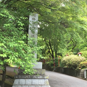 2015-05-18-13-24-04