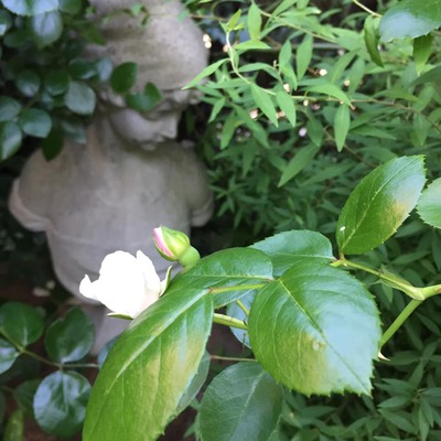 61215481_2030651193713439_3322853314575466496_n