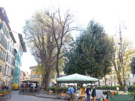 P1010748