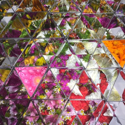 45179598_1740949949350233_3131024948261289984_n