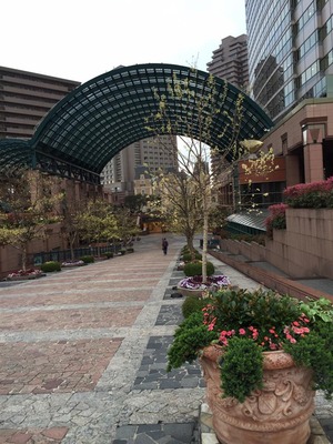 13015346_855696814542222_2768431834276935106_n