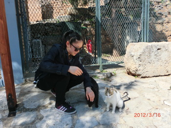 CIMG0135