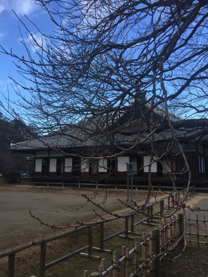 2016-01-20-15-05-49