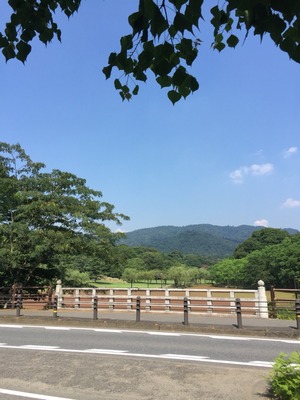2015-08-01-14-35-45