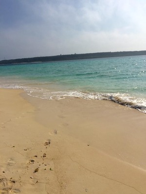 12936551_852209468224290_7555413831921873197_n