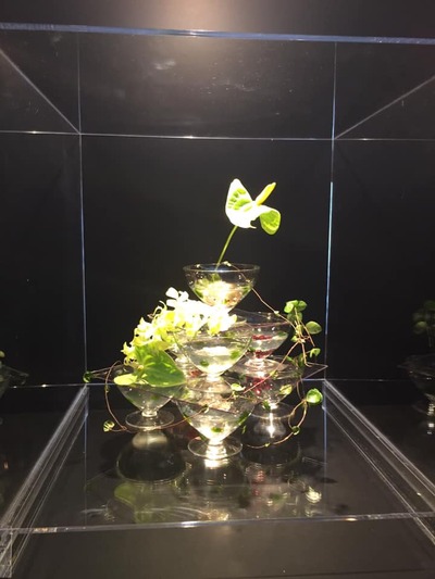 45206438_1740950519350176_4107372917036154880_n