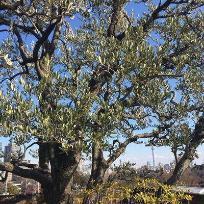 27749997_1426423864136178_3347966783421727119_n