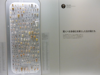 P1140233