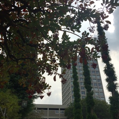 2016-09-17-13-26-28