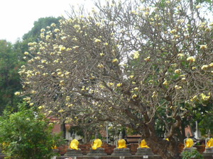 P1220441