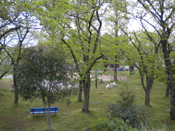 DSCN0632