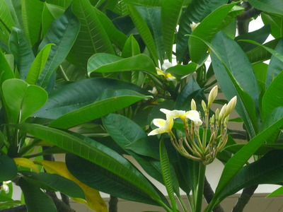 P1250568
