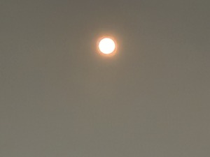 IMG_7304