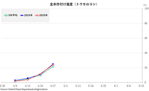 corn_���դ�����