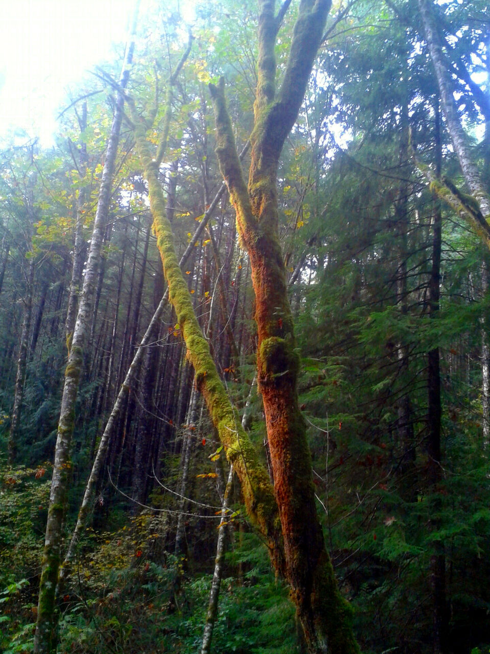 20131003_153555_resized