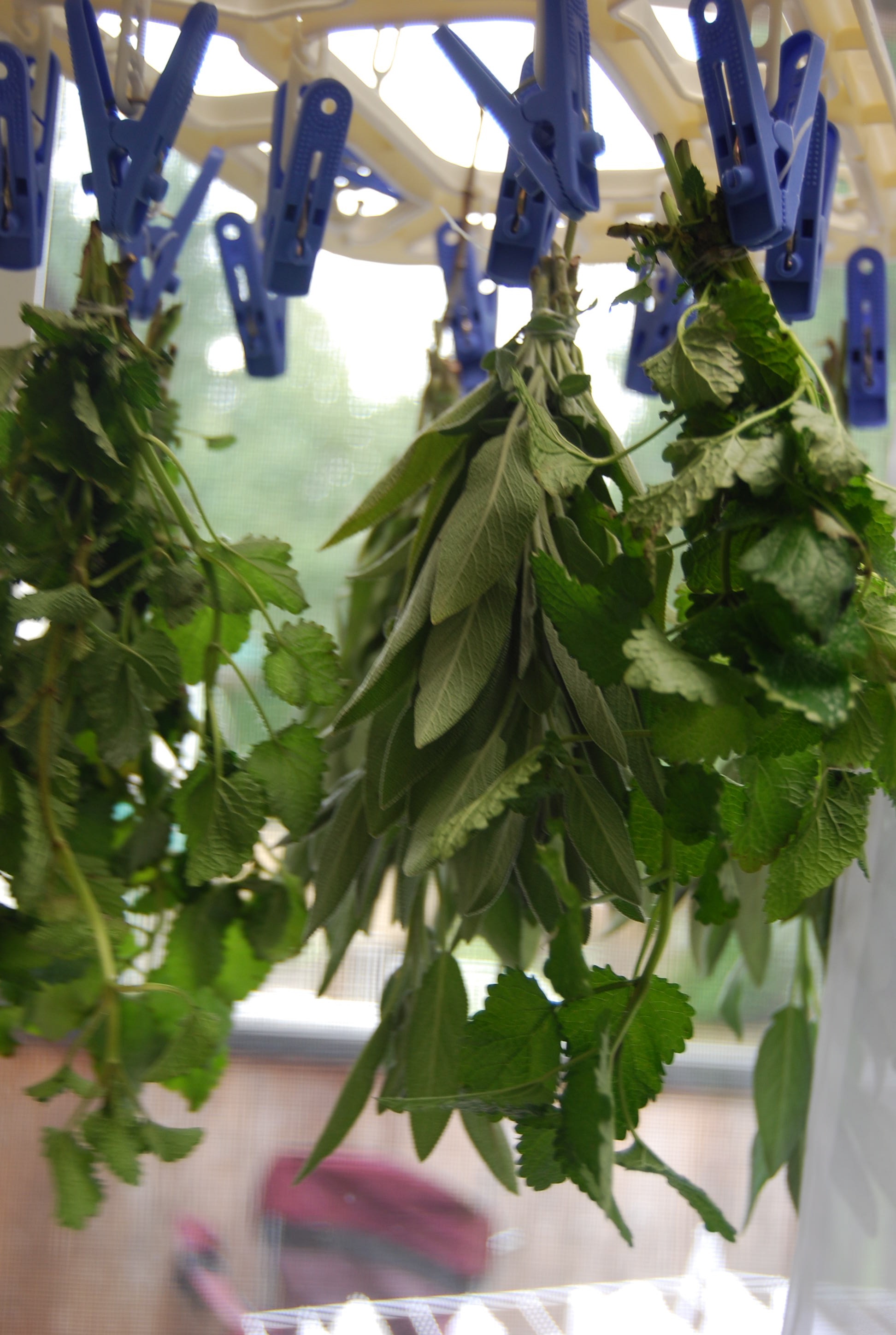 西の魔女 見習い中 Uniearthのcolor Palette