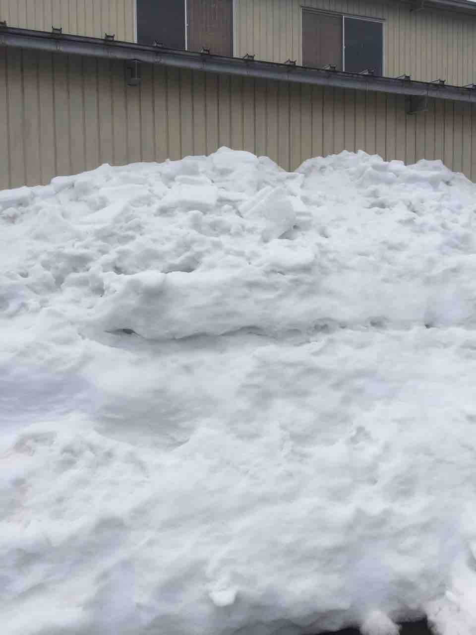 大野の雪はまだ溶けてない ユニフォーム屋さんのブログ T1 T坂