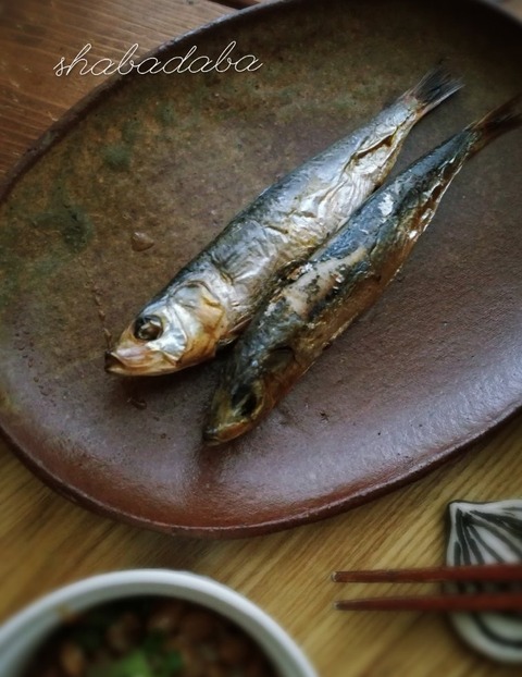 [画像:2393f584-s.jpg]