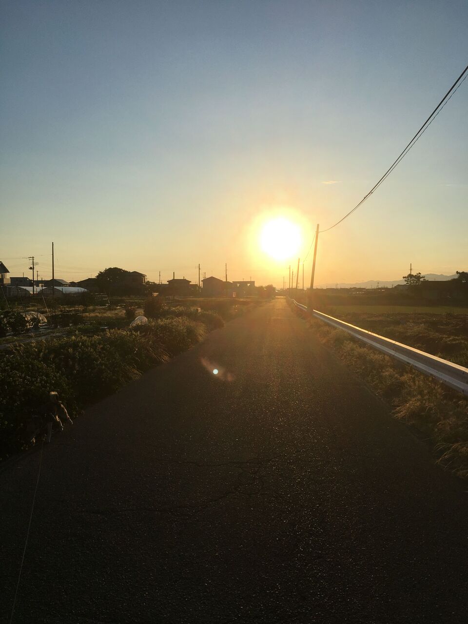 げしげし 藤田市男のライトエッセイ げしげし 藤田市男のライトエッセイ