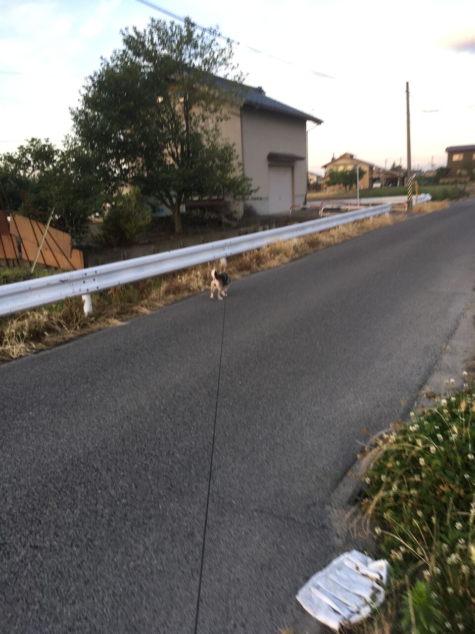 げしげし 藤田市男のライトエッセイ げしげし 藤田市男のライトエッセイ