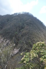 大笄(おおこうげ)の下り