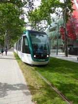 緑の中を走るトラム
