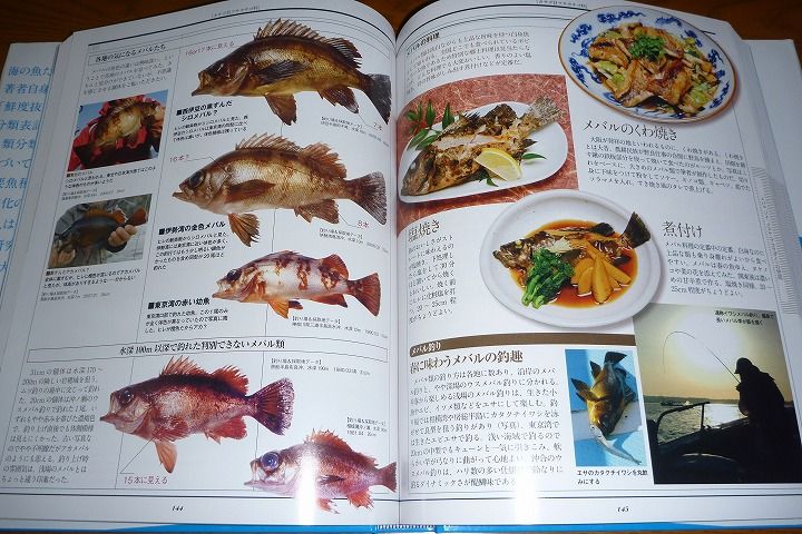 海の魚大図鑑 : 裏UNIPARA＜う・ぶろぐ＞