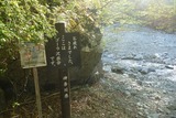 ゴーラ沢出合です
