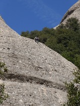 フリーで登ってます