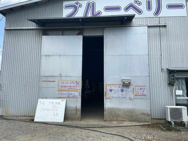 石黒シャクナゲ園 (1)