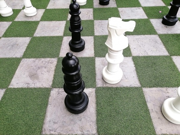 26592708_s