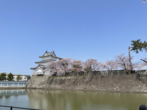 写真 2022-04-10 12 54 41