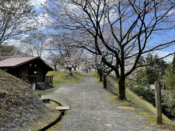 大峰山 (8)