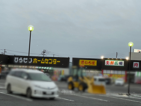 download_file