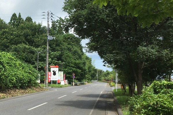 IMG117001