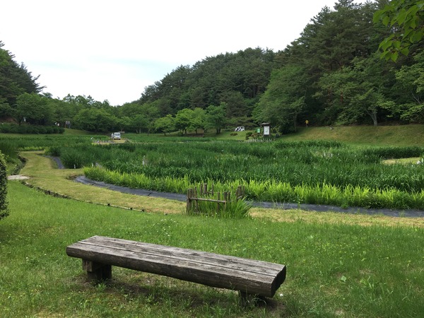 写真 2020-06-01 14 25 13