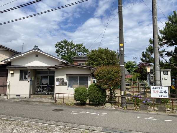 ajisai (25)