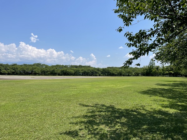中央公園エリア (2)