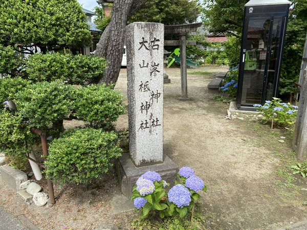 ajisai (26)