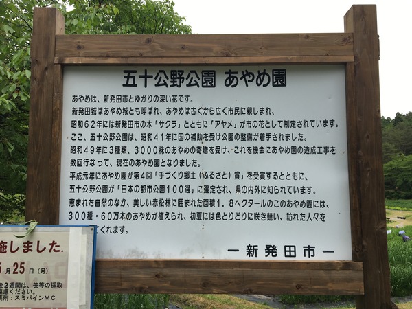 写真 2020-06-01 14 22 51