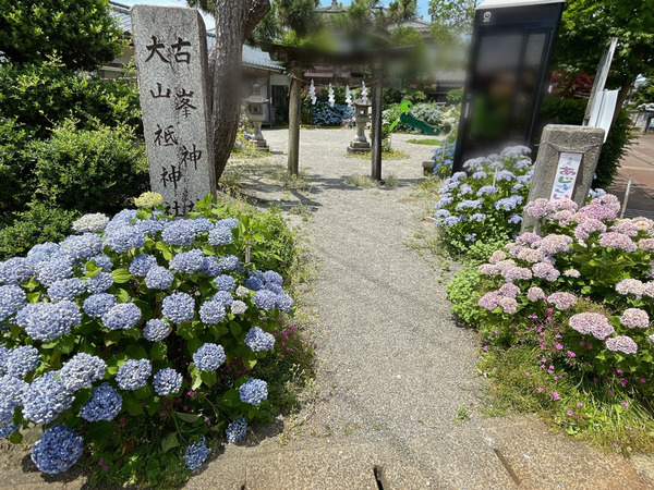 download_file