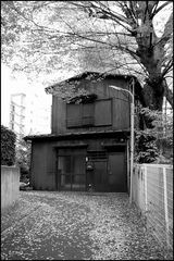 azabu20071203_04