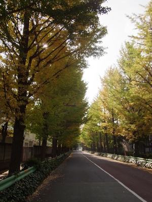 RIMG0663