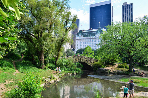 central-park-nyc