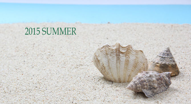 2015SUMMER