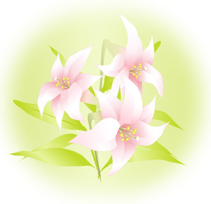 ユリの花