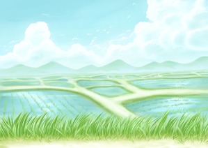 田んぼ