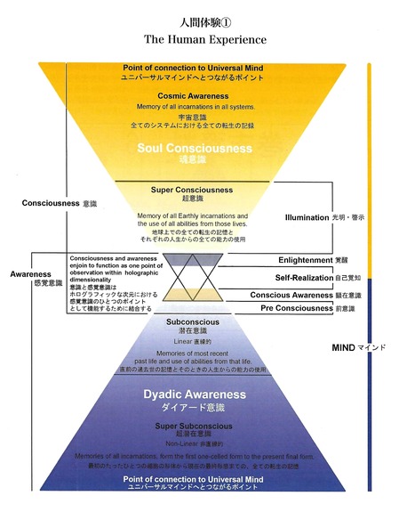 人間体験の図