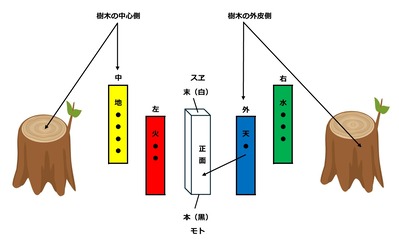 天津金木
